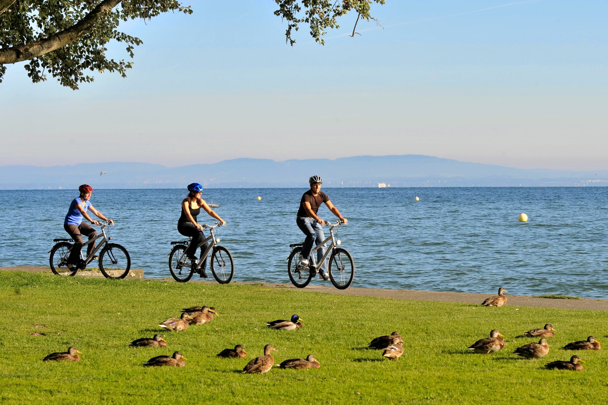 Bodensee Radweg bei Arbon (c) Thurgau Tourismus